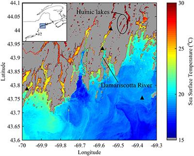 Oyster Aquaculture Site Selection Using Landsat 8-Derived Sea Surface Temperature, Turbidity, and Chlorophyll a